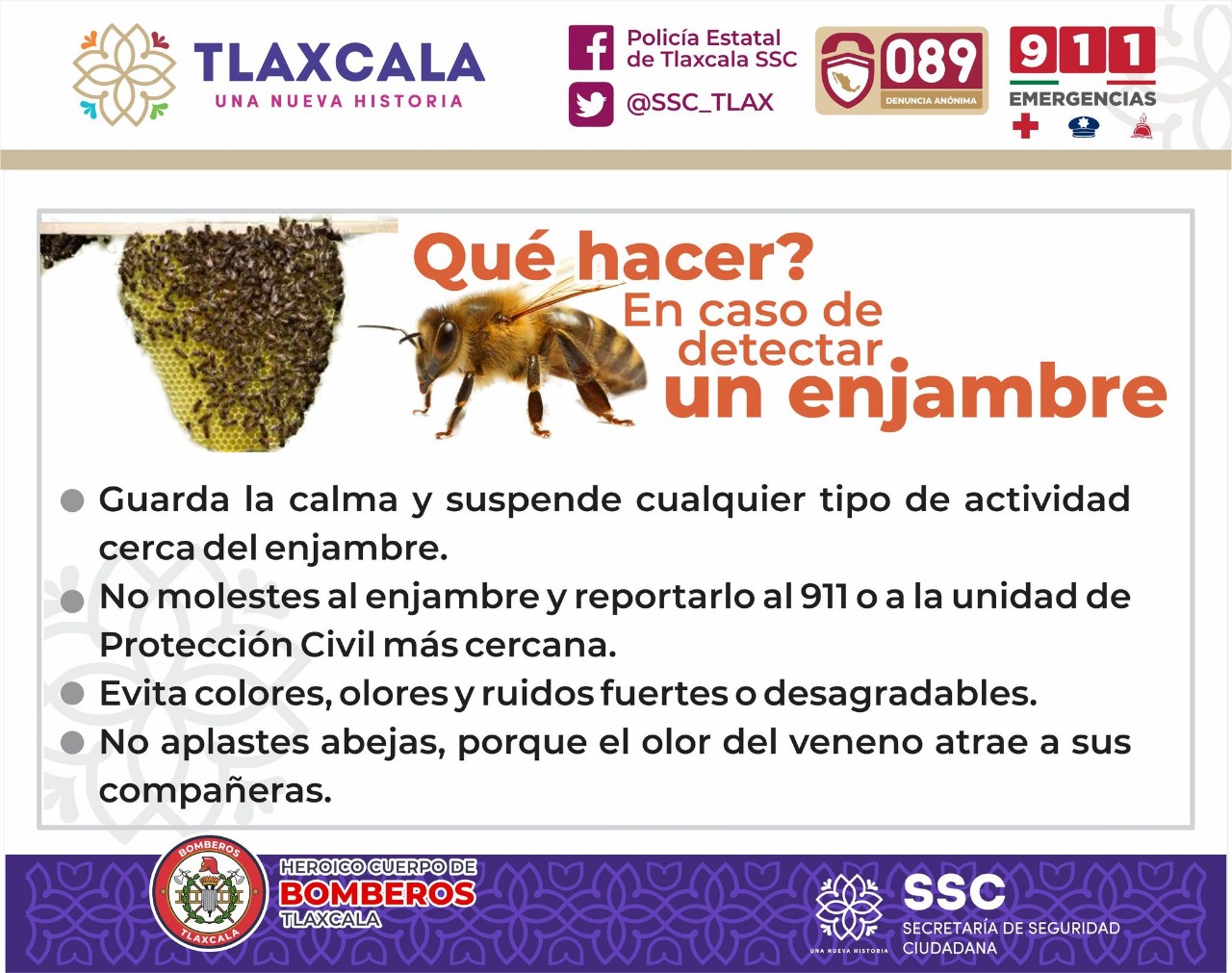 Cuerpo de Bomberos retira y reubica panal de abejas